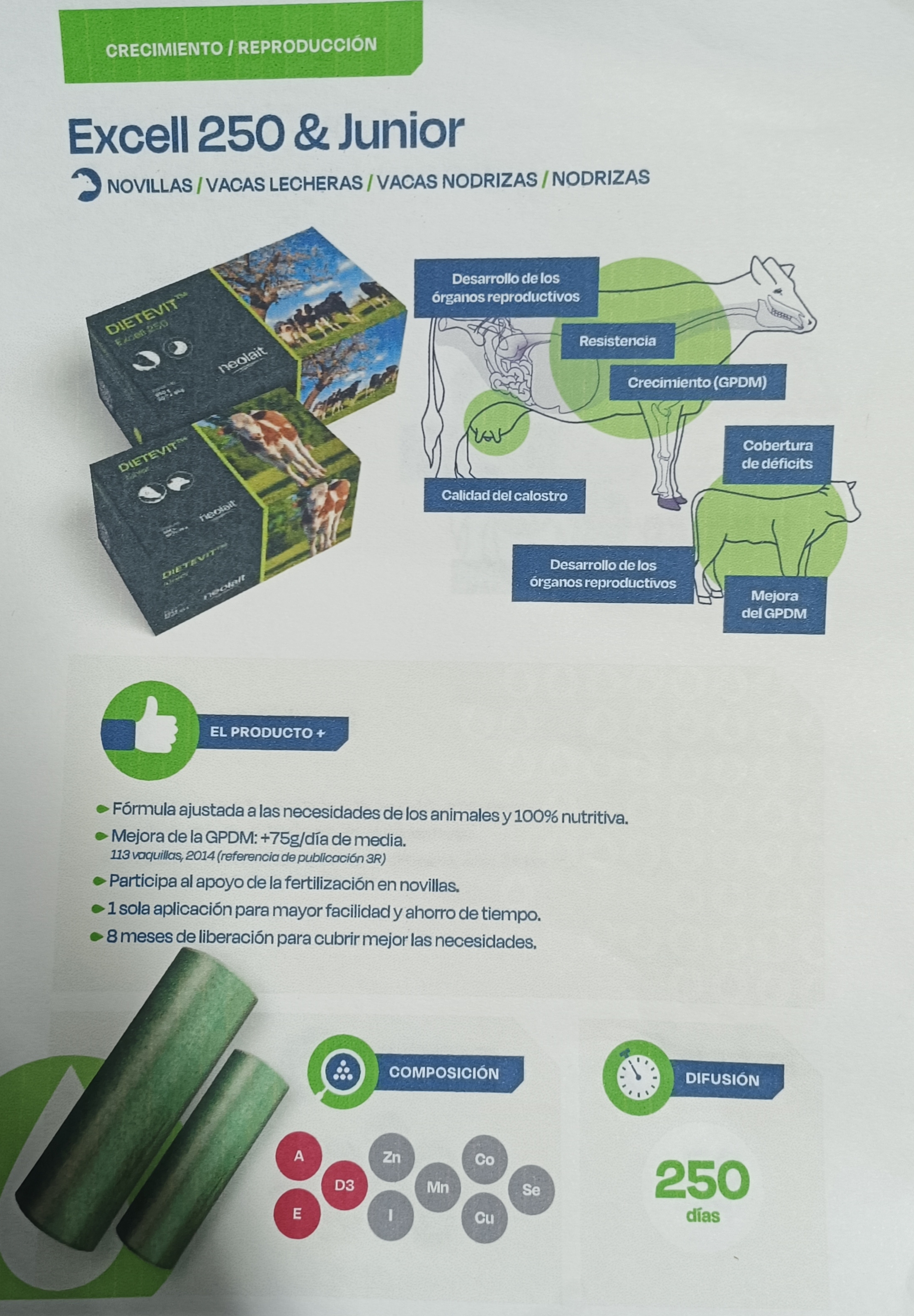 Carrusel Excell250 y Junior