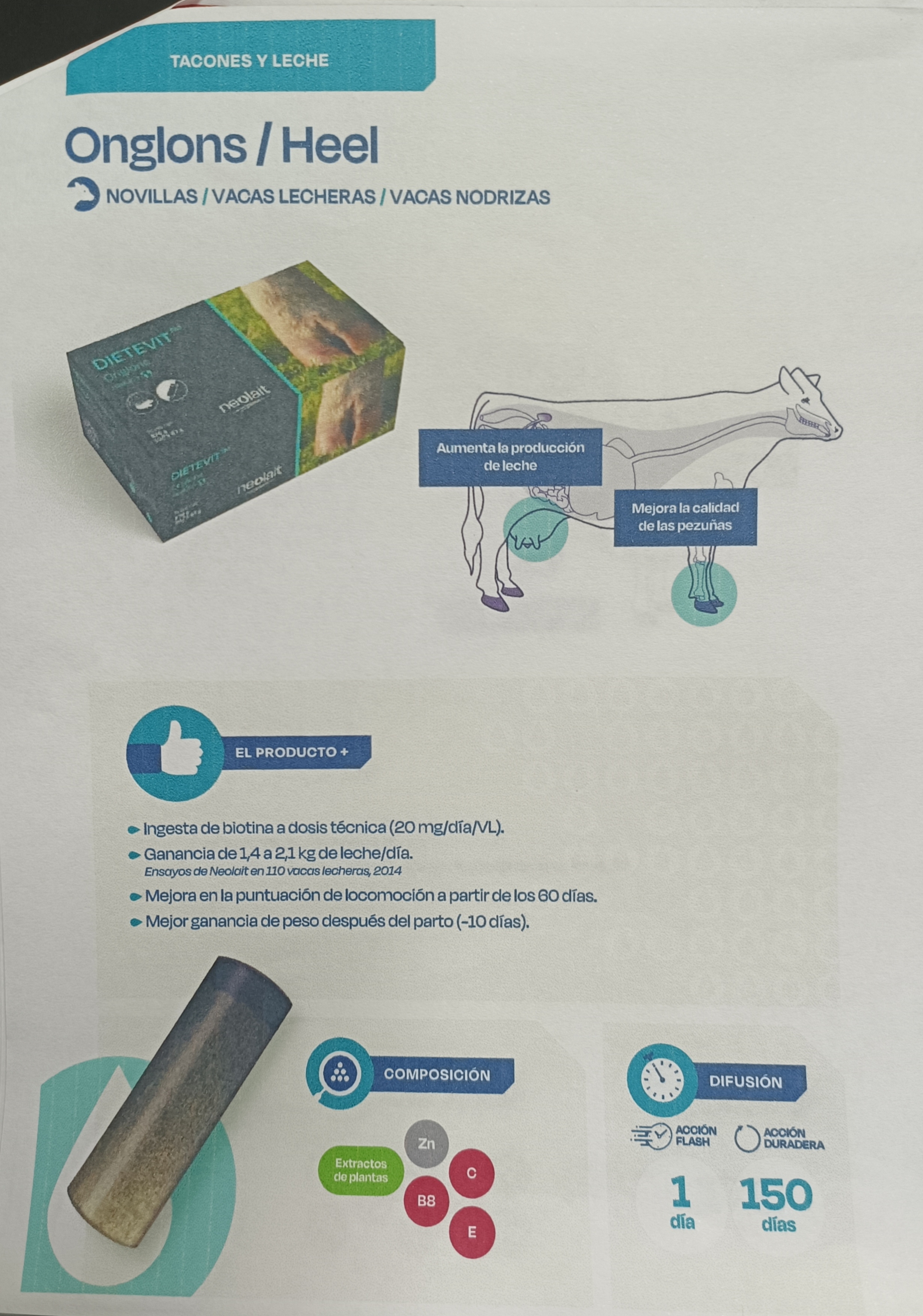 Carrusel Onglons Heel