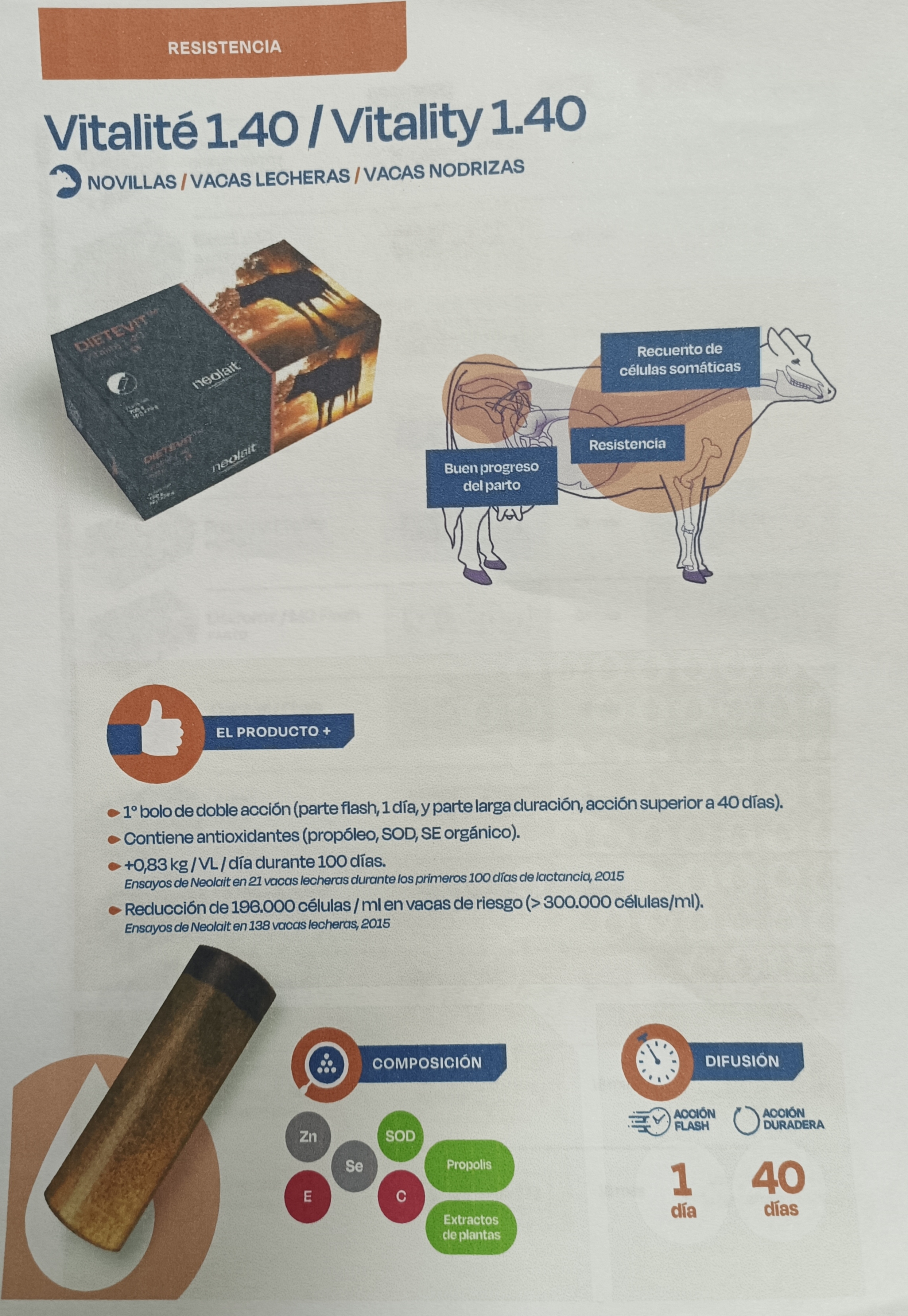 Carrusel Vitality 1.40