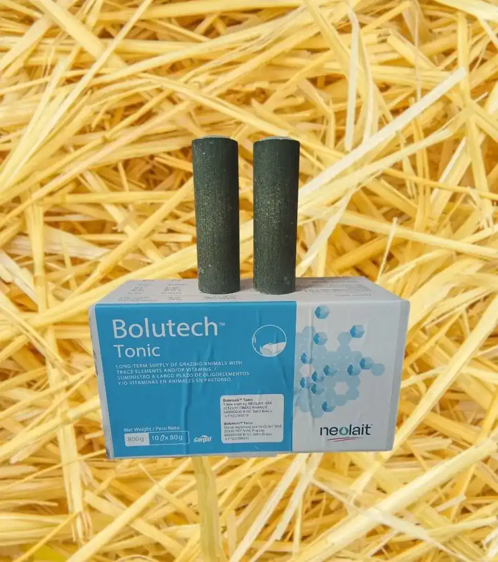 Bolutech® Tonic
