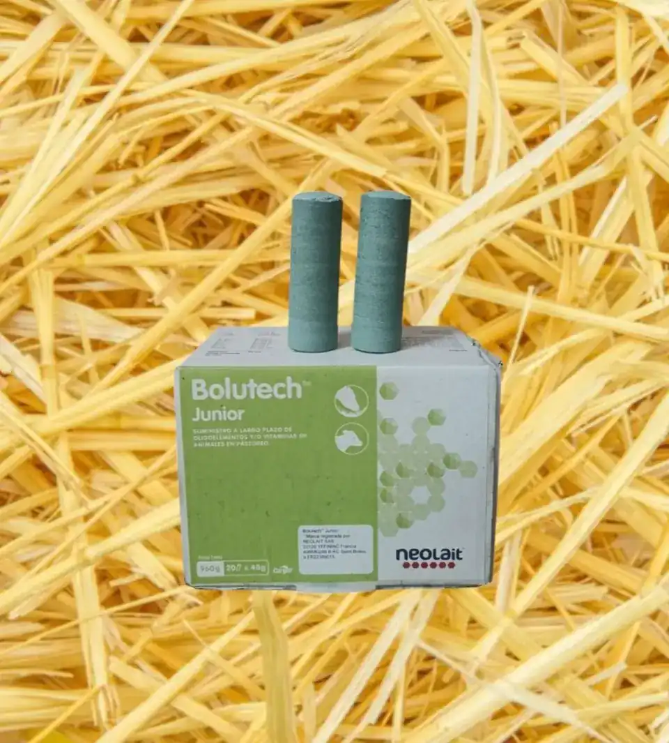 Bolutech® Junior