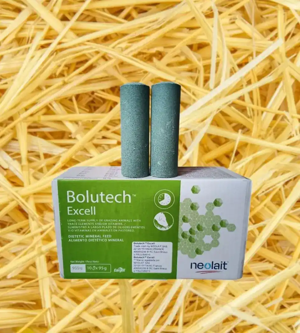 Bolutech® Excell