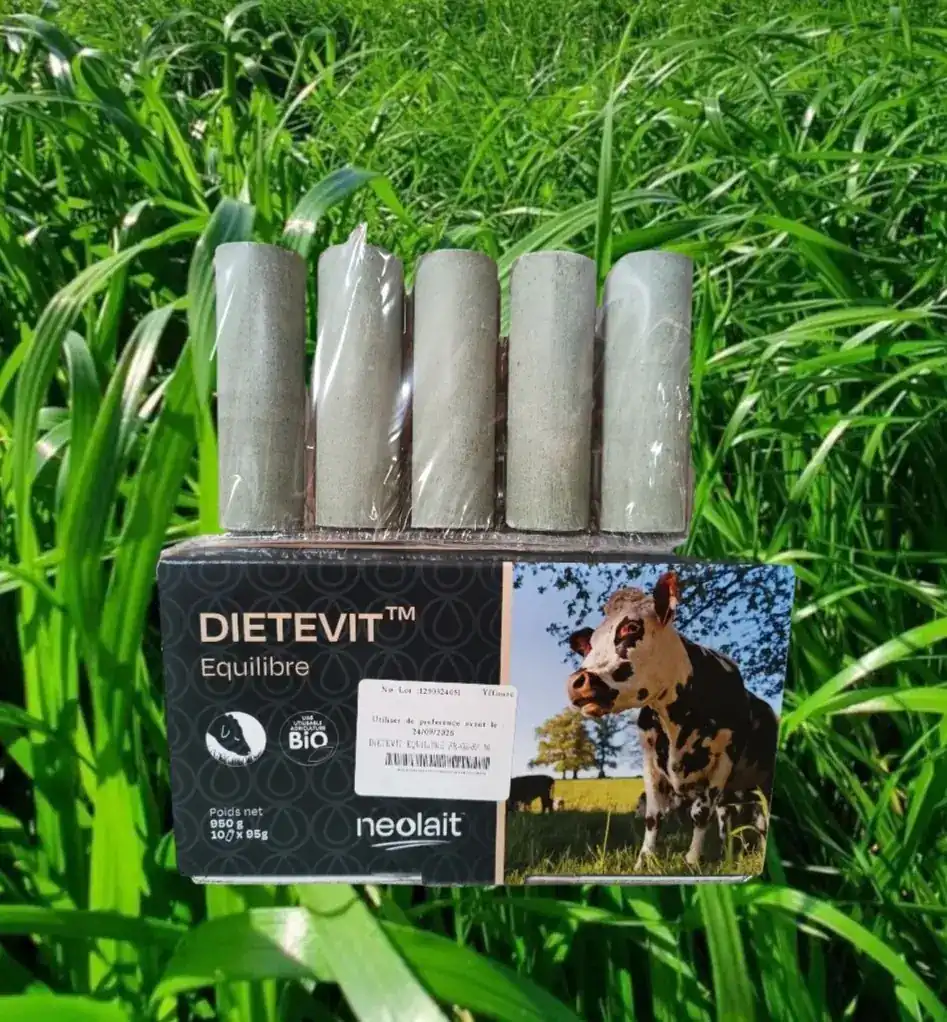 Bolutech Dietevit equilibre certificado ECO