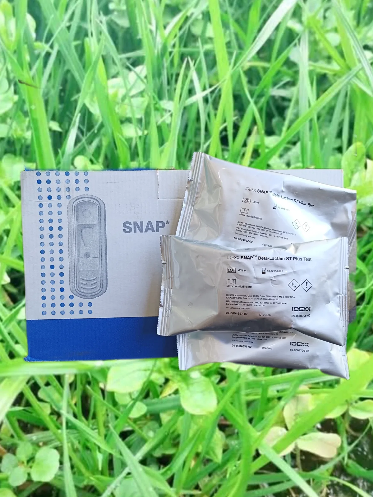 Snap Detector