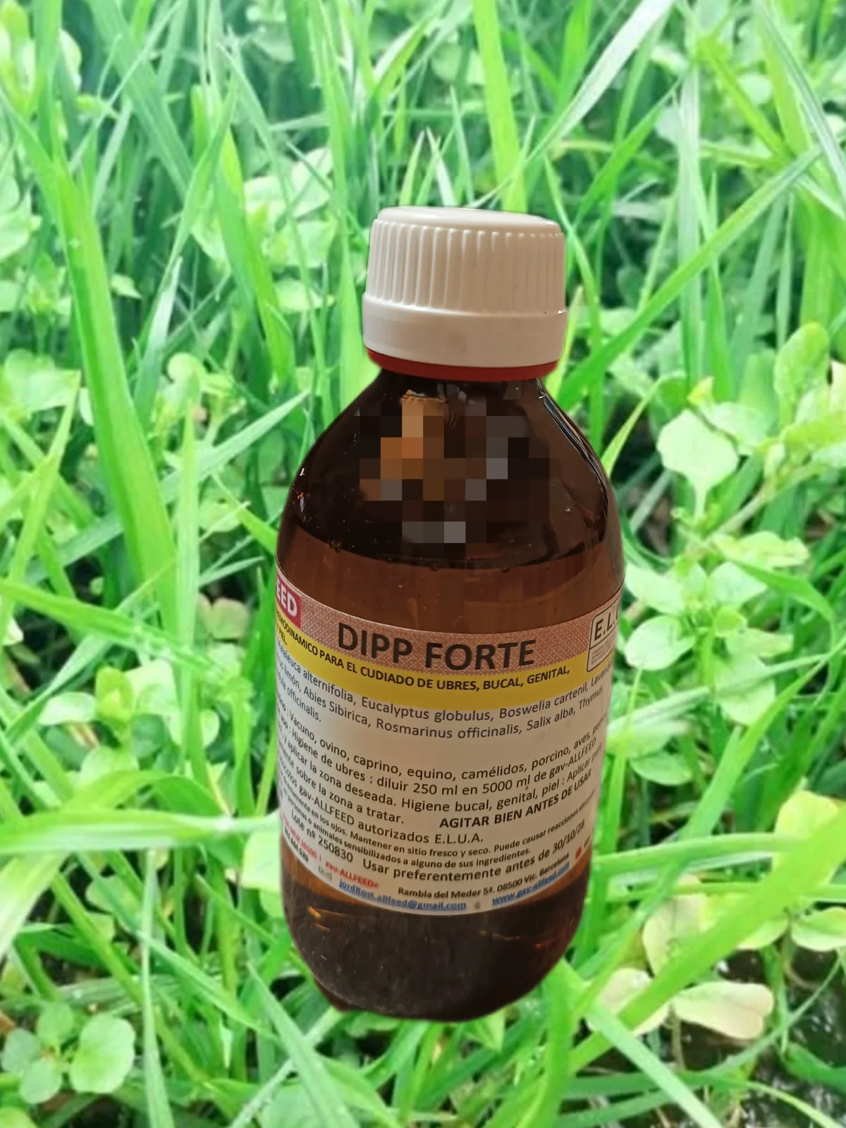 gav-ALLFEED® Dipp FORTE - 250ml