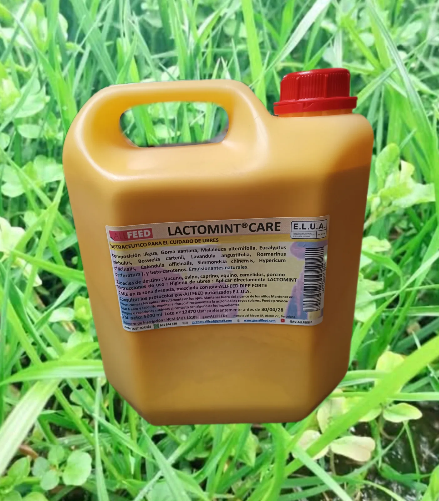gav-ALLFEED® Lactomint CARE - 5L