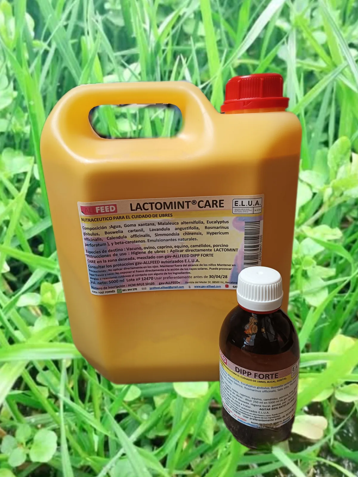 gav-ALLFEED® Lactomint CARE - 5L + Dipp FORTE - 250ml
