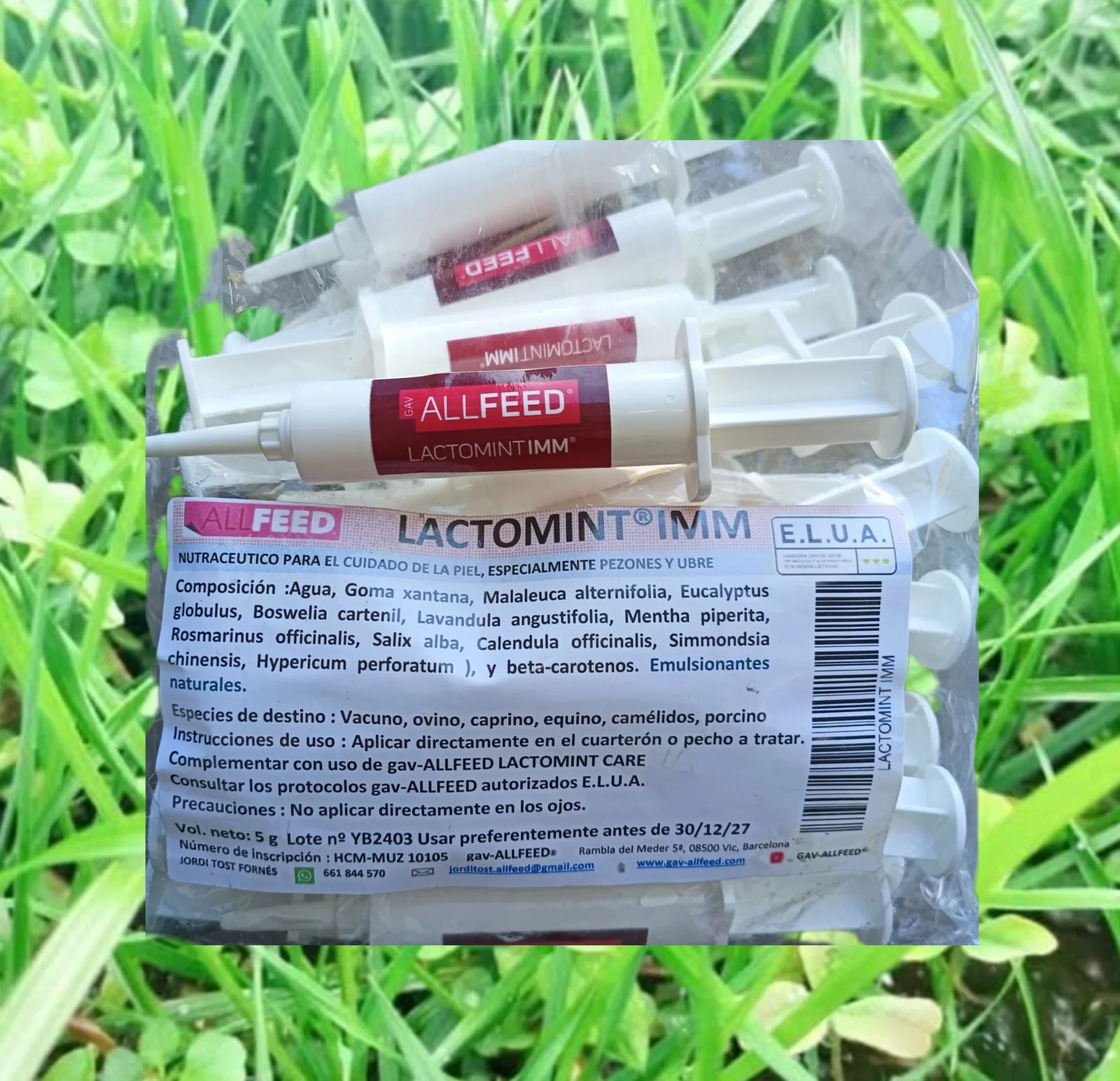 gav-ALLFEED® Lactomint IMM
