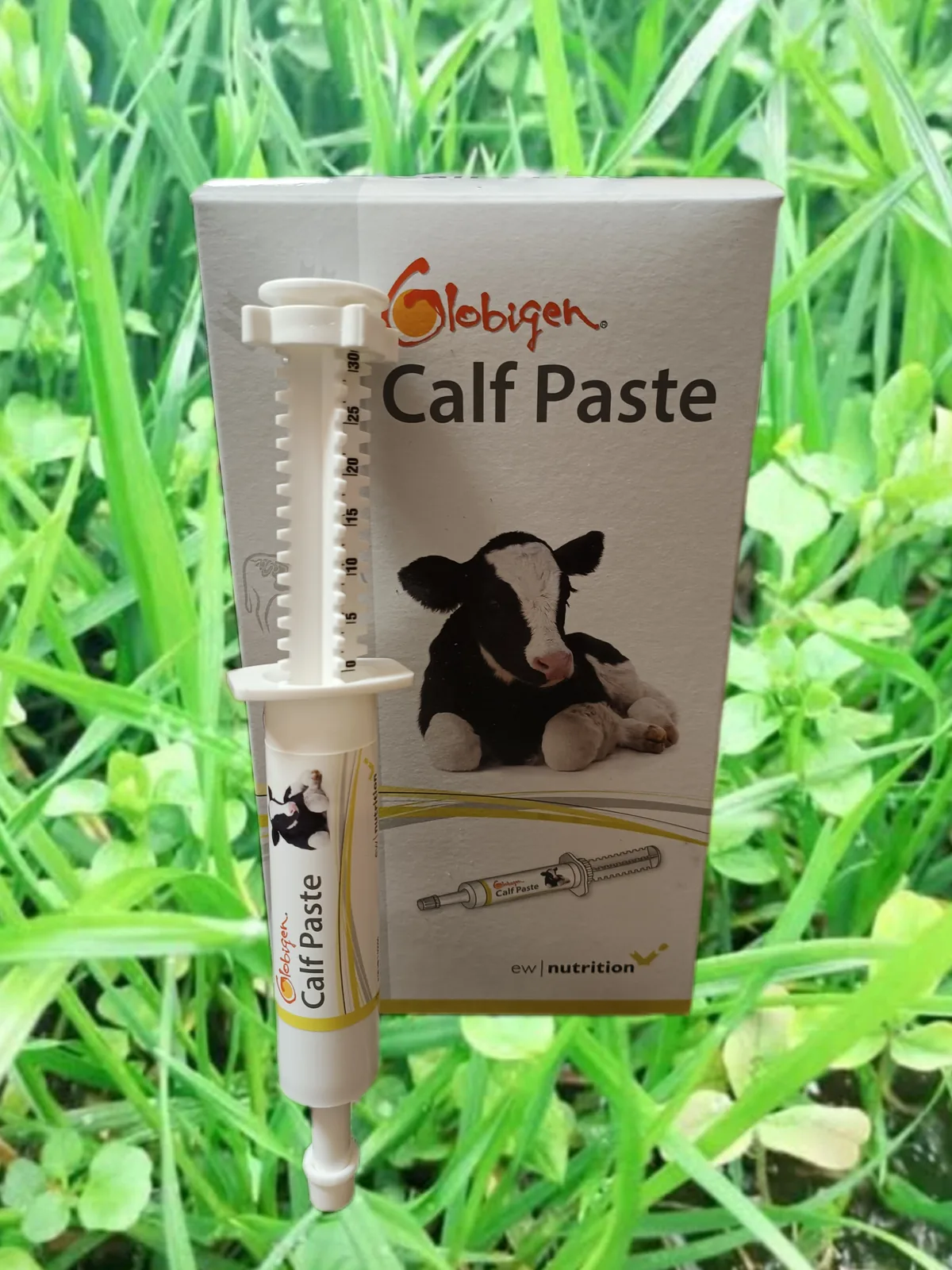 Globigen® Calf Paste