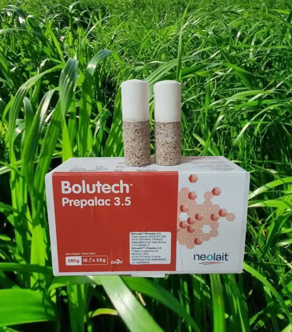 Bolutech Prepalac suplemento energético postparto