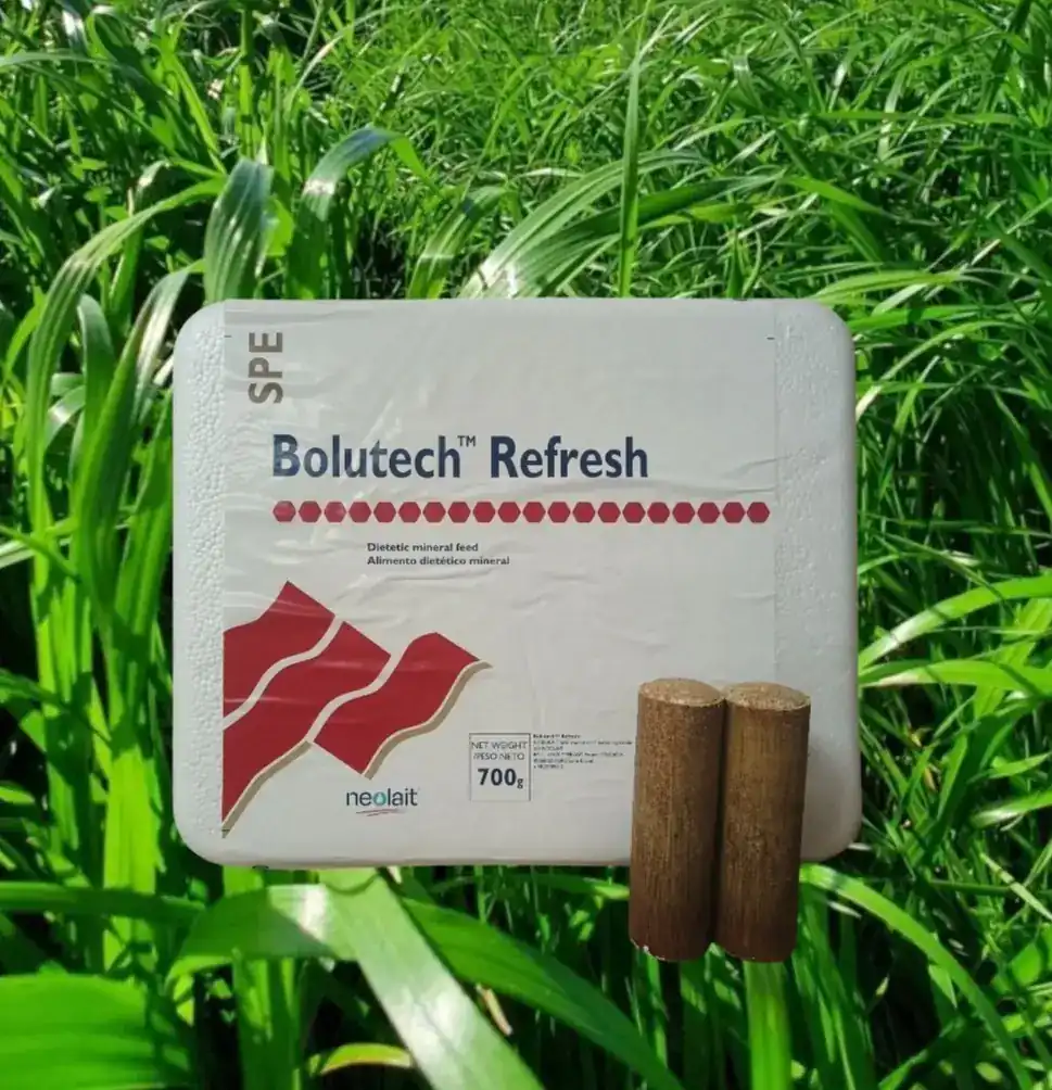 Bolutech® Repro