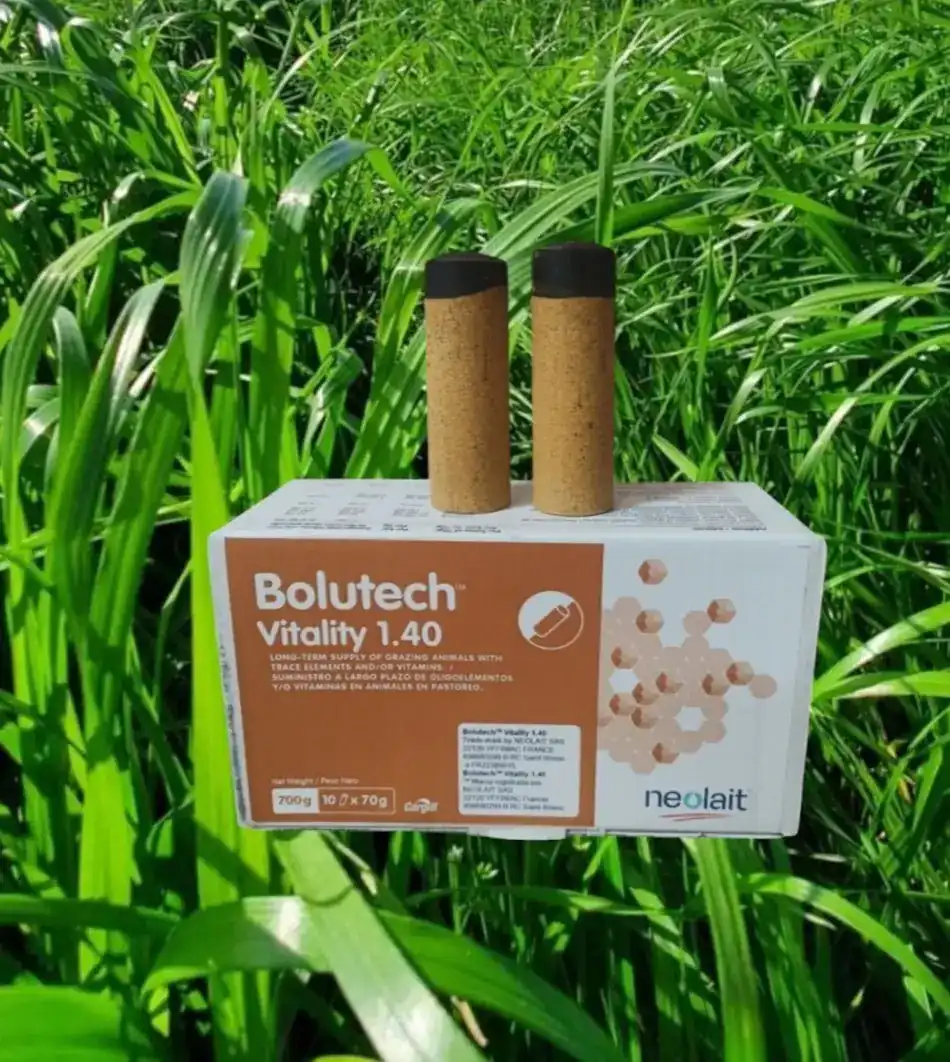 Bolutech® Vitality