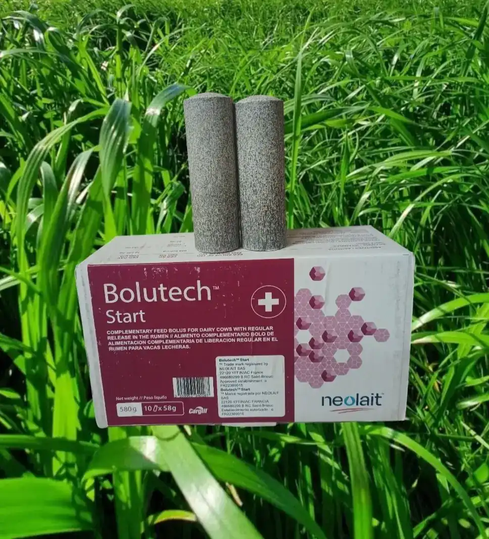 Bolutech® Start